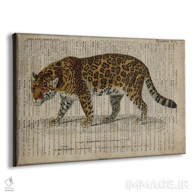 تابلو پلنگ (فرهنگ لغت عمومی فرانسوی) اثر فیشرکرافت (استودیوی خلاقانه) - نمای پرسپکتیو محصول