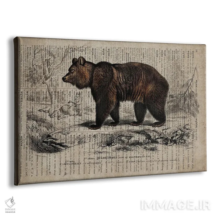تابلو خرس (فرهنگ لغت عمومی فرانسوی) اثر فیشرکرافت (استودیوی خلاقانه) - نمای پرسپکتیو محصول