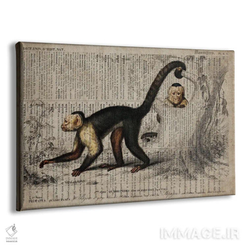 تابلو میمون (فرهنگ لغت عمومی فرانسوی) اثر فیشرکرافت (استودیوی خلاقانه) - نمای پرسپکتیو محصول