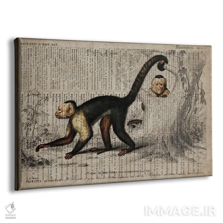 تابلو میمون (فرهنگ لغت عمومی فرانسوی) اثر فیشرکرافت (استودیوی خلاقانه) - نمای پرسپکتیو محصول