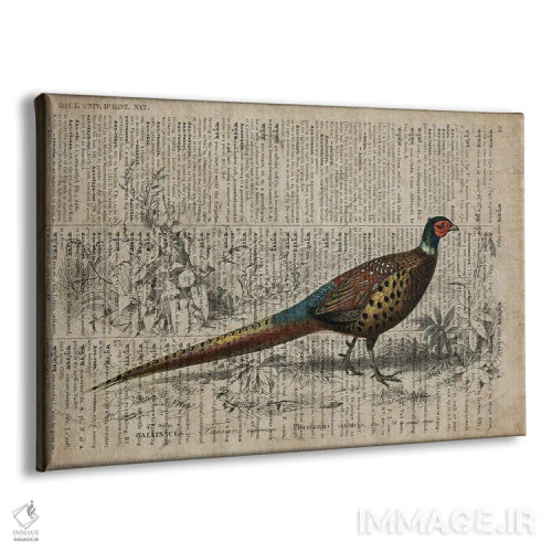 تابلو قرقاول (فرهنگ لغت عمومی فرانسوی) اثر فیشرکرافت (استودیوی خلاقانه) - نمای پرسپکتیو محصول