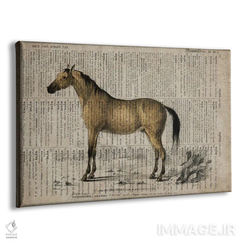 تابلو اسب (فرهنگ لغت عمومی فرانسوی) اثر فیشرکرافت (استودیوی خلاقانه) - نمای پرسپکتیو محصول