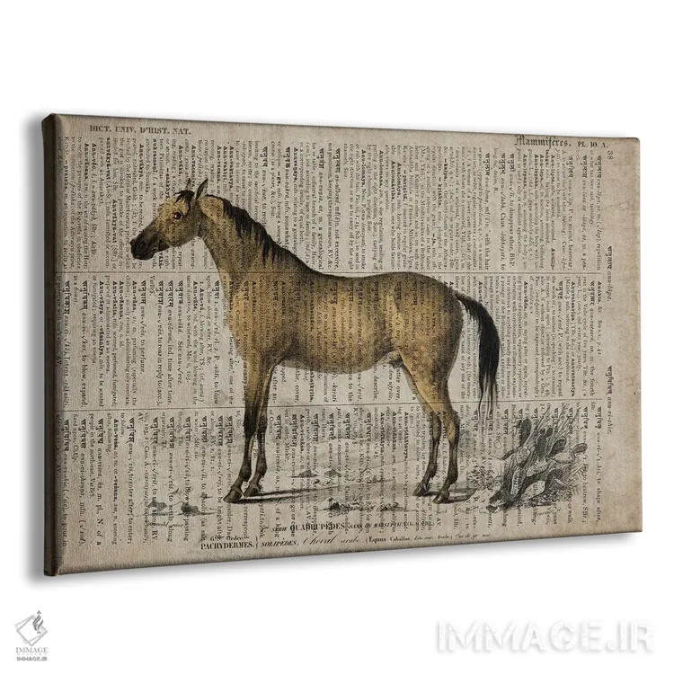 تابلو اسب (فرهنگ لغت عمومی فرانسوی) اثر فیشرکرافت (استودیوی خلاقانه) - نمای پرسپکتیو محصول