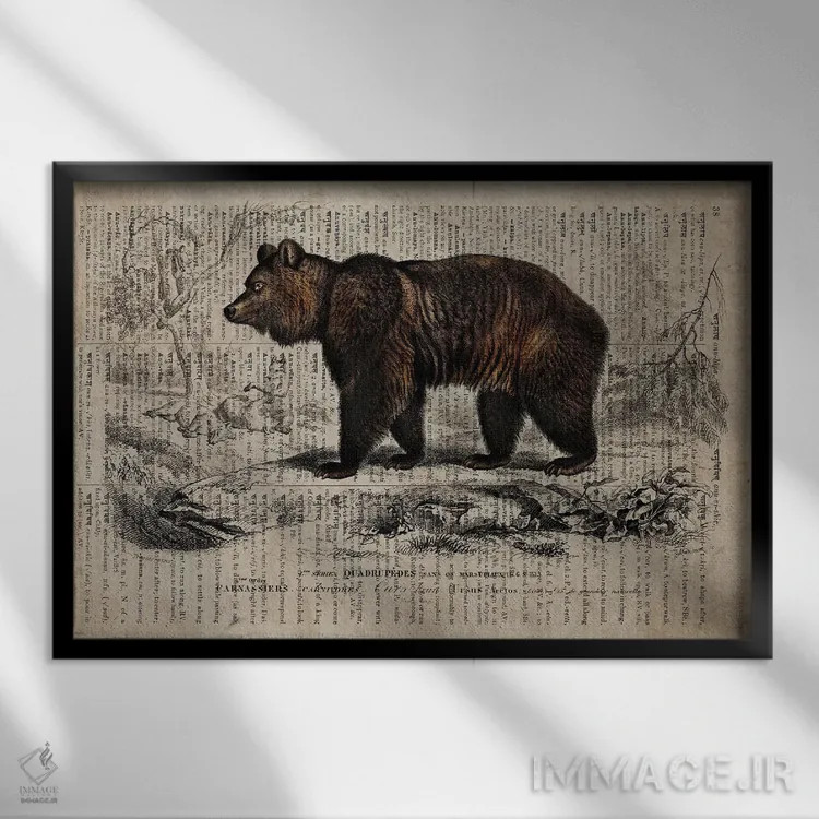 تابلو خرس (فرهنگ لغت عمومی فرانسوی) اثر فیشرکرافت (استودیوی خلاقانه) - نمای قابدار مشکی