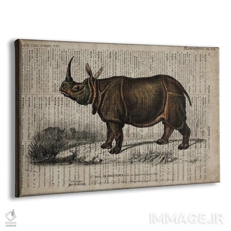 تابلو کرگدن (فرهنگ لغت عمومی فرانسوی) اثر فیشرکرافت (استودیوی خلاقانه) - نمای پرسپکتیو محصول