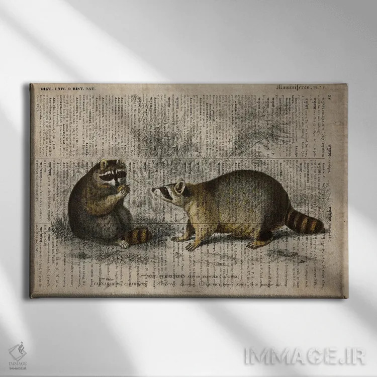 تابلو راکونها (فرهنگ لغت عمومی فرانسوی) اثر فیشرکرافت (استودیوی خلاقانه) - نمای روبهرو روی دیوار