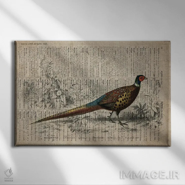 تابلو قرقاول (فرهنگ لغت عمومی فرانسوی) اثر فیشرکرافت (استودیوی خلاقانه) - نمای روبهرو روی دیوار