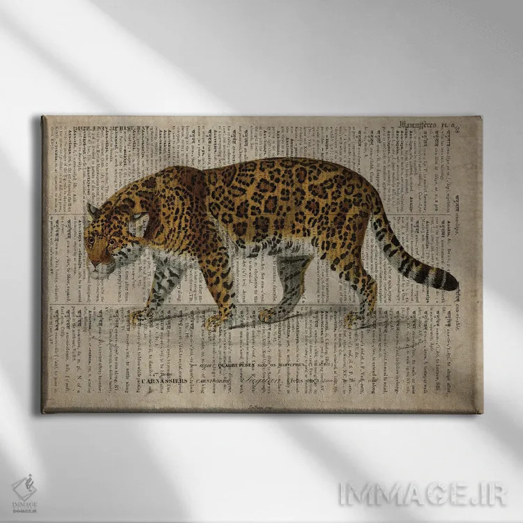 تابلو پلنگ (فرهنگ لغت عمومی فرانسوی) اثر فیشرکرافت (استودیوی خلاقانه) - نمای روبهرو روی دیوار