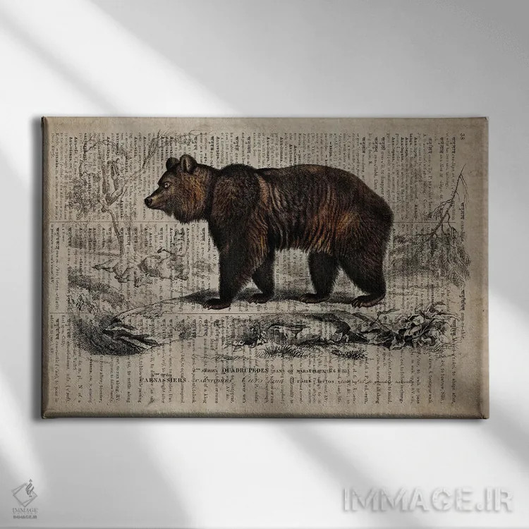 تابلو خرس (فرهنگ لغت عمومی فرانسوی) اثر فیشرکرافت (استودیوی خلاقانه) - نمای روبهرو روی دیوار