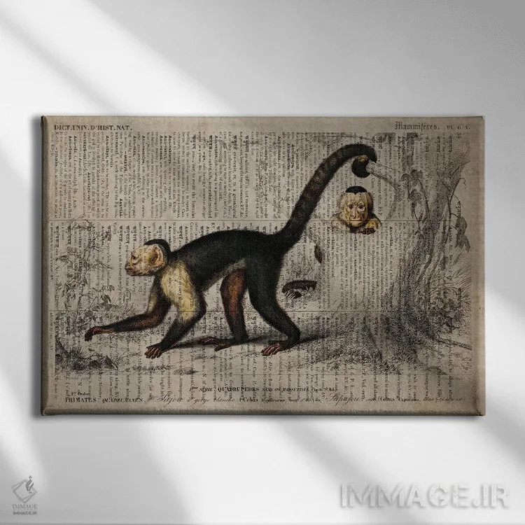 تابلو میمون (فرهنگ لغت عمومی فرانسوی) اثر فیشرکرافت (استودیوی خلاقانه) - نمای روبهرو روی دیوار