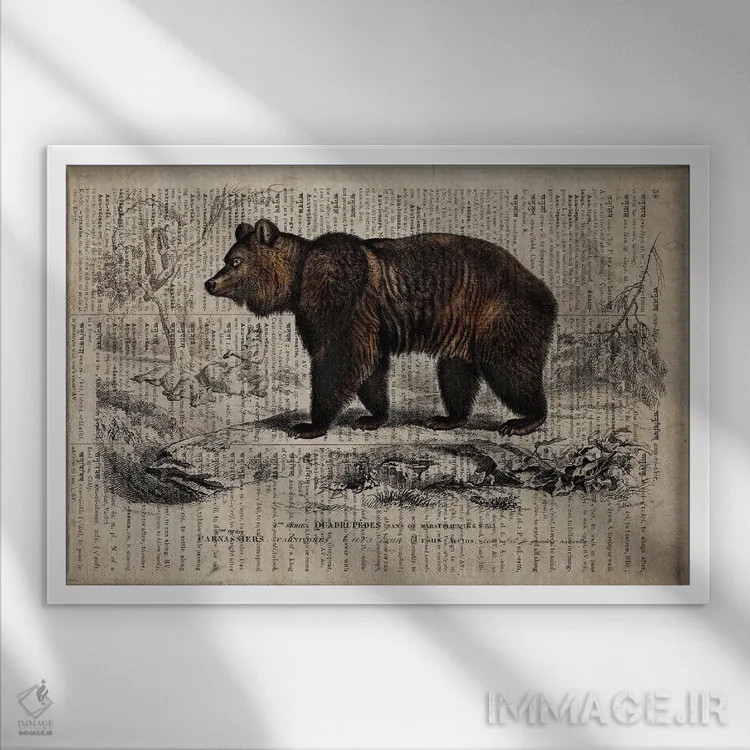تابلو خرس (فرهنگ لغت عمومی فرانسوی) اثر فیشرکرافت (استودیوی خلاقانه) - نمای قابدار سفید