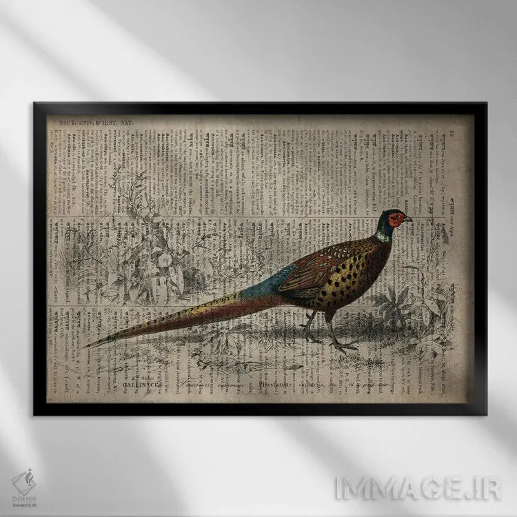 تابلو قرقاول (فرهنگ لغت عمومی فرانسوی) اثر فیشرکرافت (استودیوی خلاقانه) - نمای قابدار مشکی