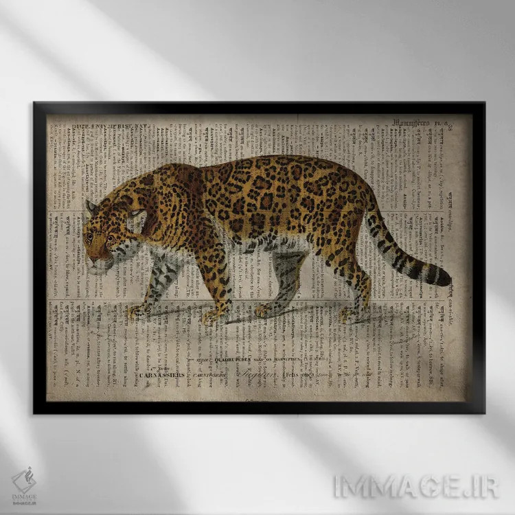 تابلو پلنگ (فرهنگ لغت عمومی فرانسوی) اثر فیشرکرافت (استودیوی خلاقانه) - نمای قابدار مشکی