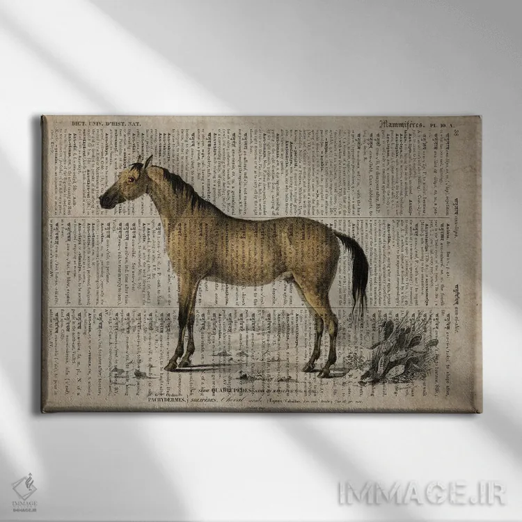 تابلو اسب (فرهنگ لغت عمومی فرانسوی) اثر فیشرکرافت (استودیوی خلاقانه) - نمای روبهرو روی دیوار