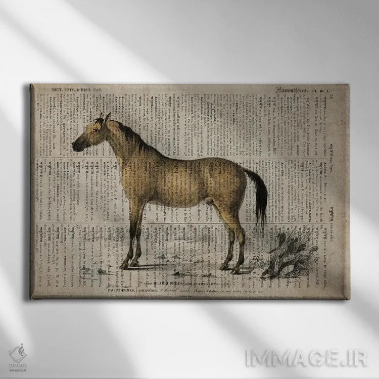 تابلو اسب (فرهنگ لغت عمومی فرانسوی) اثر فیشرکرافت (استودیوی خلاقانه) - نمای روبهرو روی دیوار