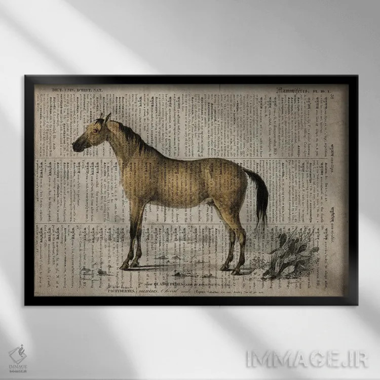 تابلو اسب (فرهنگ لغت عمومی فرانسوی) اثر فیشرکرافت (استودیوی خلاقانه) - نمای قابدار مشکی