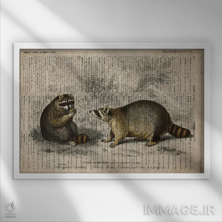 تابلو راکونها (فرهنگ لغت عمومی فرانسوی) اثر فیشرکرافت (استودیوی خلاقانه) - نمای قابدار سفید