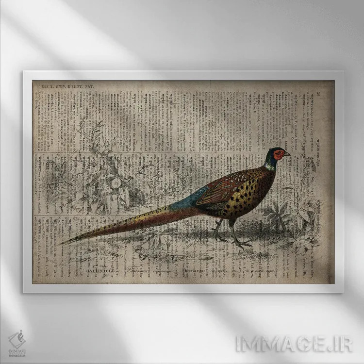 تابلو قرقاول (فرهنگ لغت عمومی فرانسوی) اثر فیشرکرافت (استودیوی خلاقانه) - نمای قابدار سفید