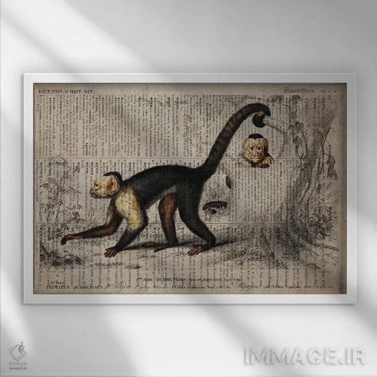تابلو میمون (فرهنگ لغت عمومی فرانسوی) اثر فیشرکرافت (استودیوی خلاقانه) - نمای قابدار سفید