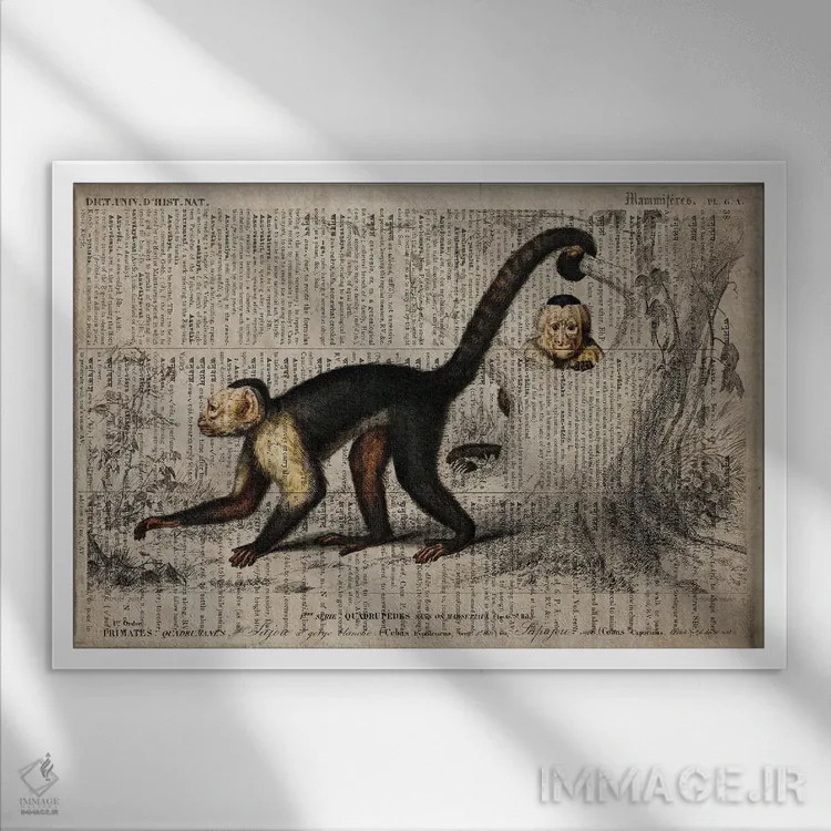 تابلو میمون (فرهنگ لغت عمومی فرانسوی) اثر فیشرکرافت (استودیوی خلاقانه) - نمای قابدار سفید