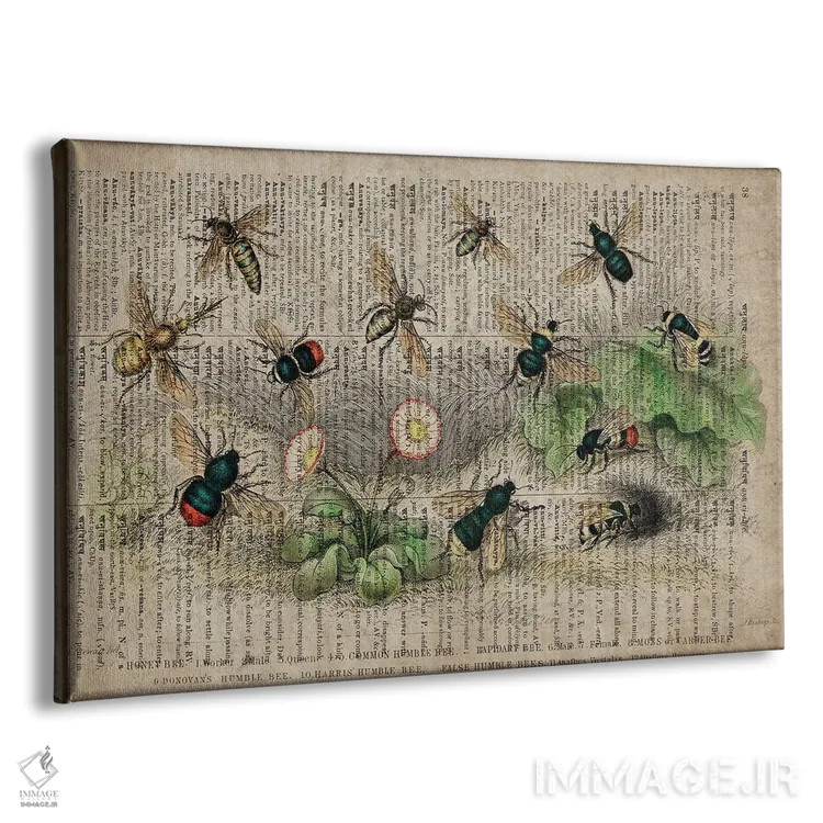 تابلو زنبورها (فرهنگ لغت عمومی فرانسوی) اثر فیشرکرافت (استودیوی خلاقانه) - نمای پرسپکتیو محصول