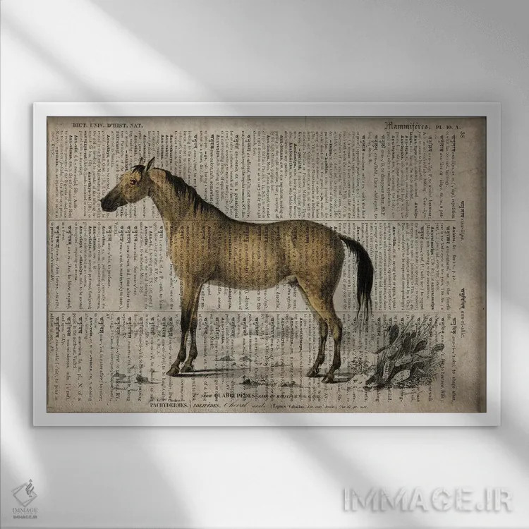 تابلو اسب (فرهنگ لغت عمومی فرانسوی) اثر فیشرکرافت (استودیوی خلاقانه) - نمای قابدار سفید