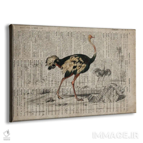 تابلو امو (فرهنگ لغت عمومی فرانسوی) اثر فیشرکرافت (استودیوی خلاقانه) - نمای پرسپکتیو محصول