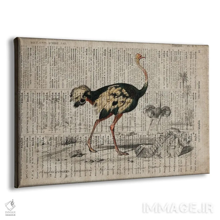 تابلو امو (فرهنگ لغت عمومی فرانسوی) اثر فیشرکرافت (استودیوی خلاقانه) - نمای پرسپکتیو محصول