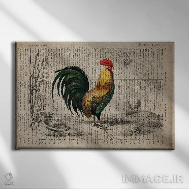 تابلو دیکشنر جهانی: خروس اثر فیشرکرافت (استودیوی خلاقانه) - نمای روبهرو روی دیوار