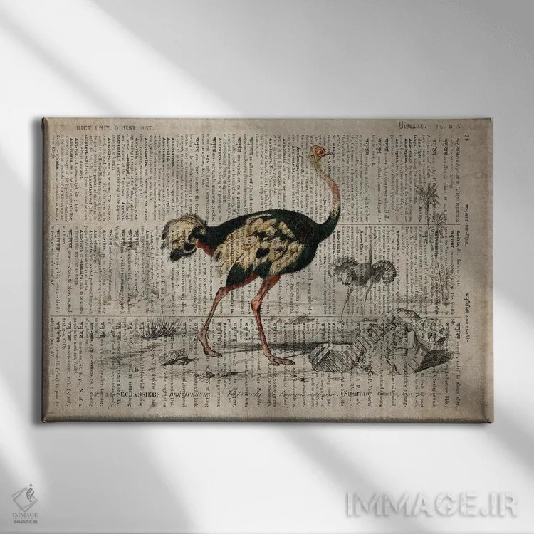 تابلو امو (فرهنگ لغت عمومی فرانسوی) اثر فیشرکرافت (استودیوی خلاقانه) - نمای روبهرو روی دیوار