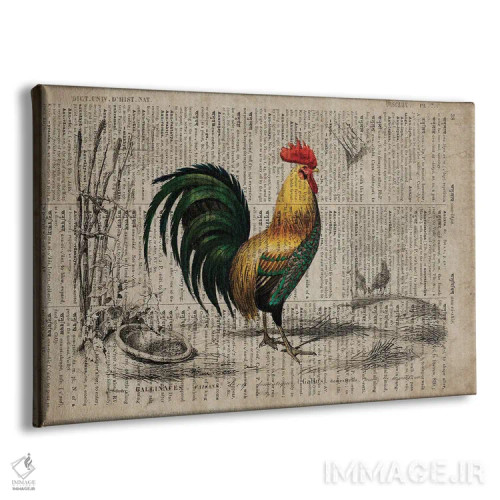 تابلو دیکشنر جهانی: خروس اثر فیشرکرافت (استودیوی خلاقانه) - نمای پرسپکتیو محصول