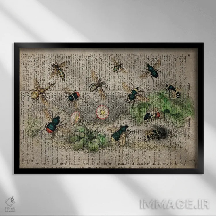 تابلو زنبورها (فرهنگ لغت عمومی فرانسوی) اثر فیشرکرافت (استودیوی خلاقانه) - نمای قابدار مشکی