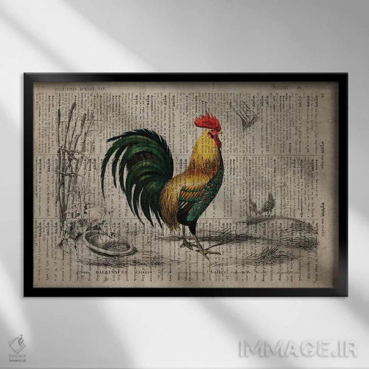 تابلو دیکشنر جهانی: خروس اثر فیشرکرافت (استودیوی خلاقانه) - نمای قابدار مشکی