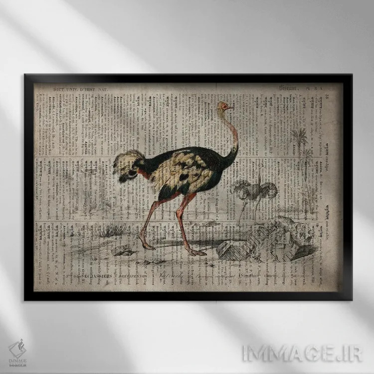 تابلو امو (فرهنگ لغت عمومی فرانسوی) اثر فیشرکرافت (استودیوی خلاقانه) - نمای قابدار مشکی