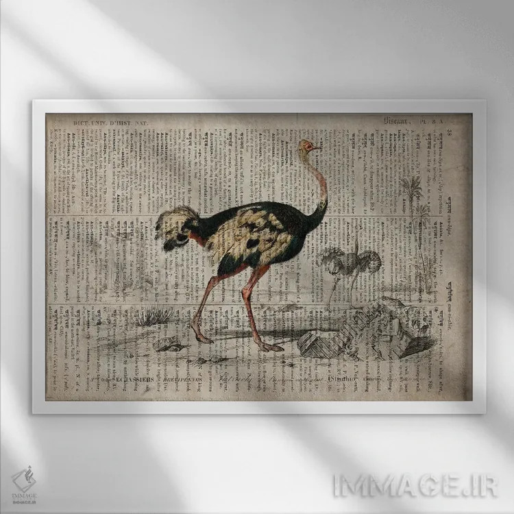 تابلو امو (فرهنگ لغت عمومی فرانسوی) اثر فیشرکرافت (استودیوی خلاقانه) - نمای قابدار سفید