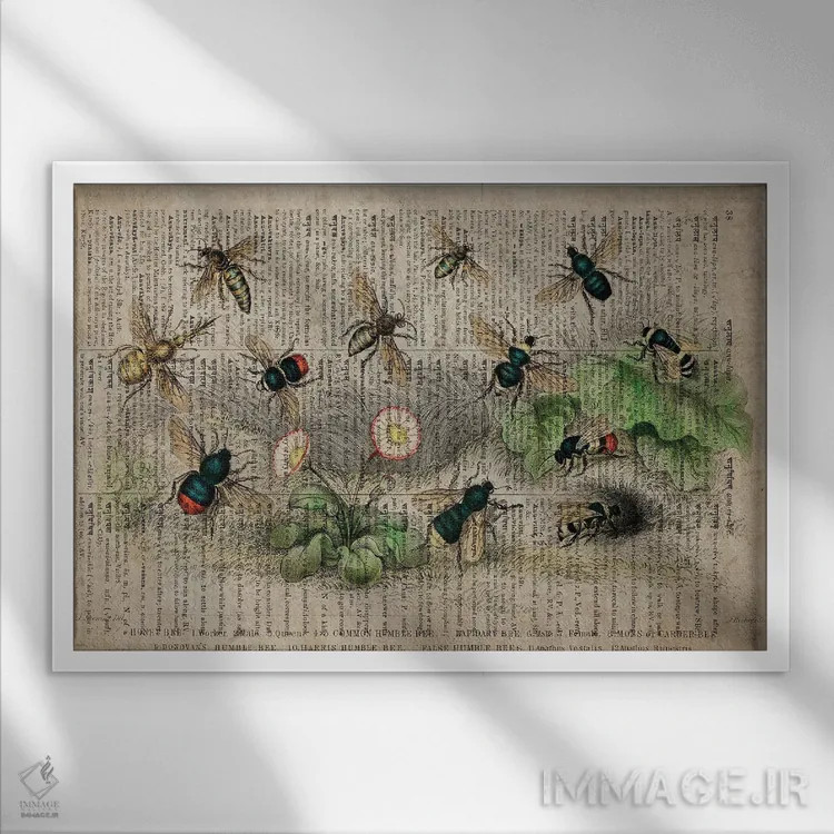 تابلو زنبورها (فرهنگ لغت عمومی فرانسوی) اثر فیشرکرافت (استودیوی خلاقانه) - نمای قابدار سفید