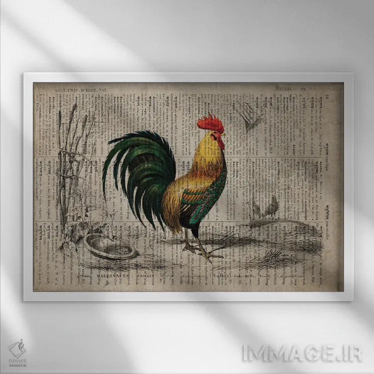 تابلو دیکشنر جهانی: خروس اثر فیشرکرافت (استودیوی خلاقانه) - نمای قابدار سفید