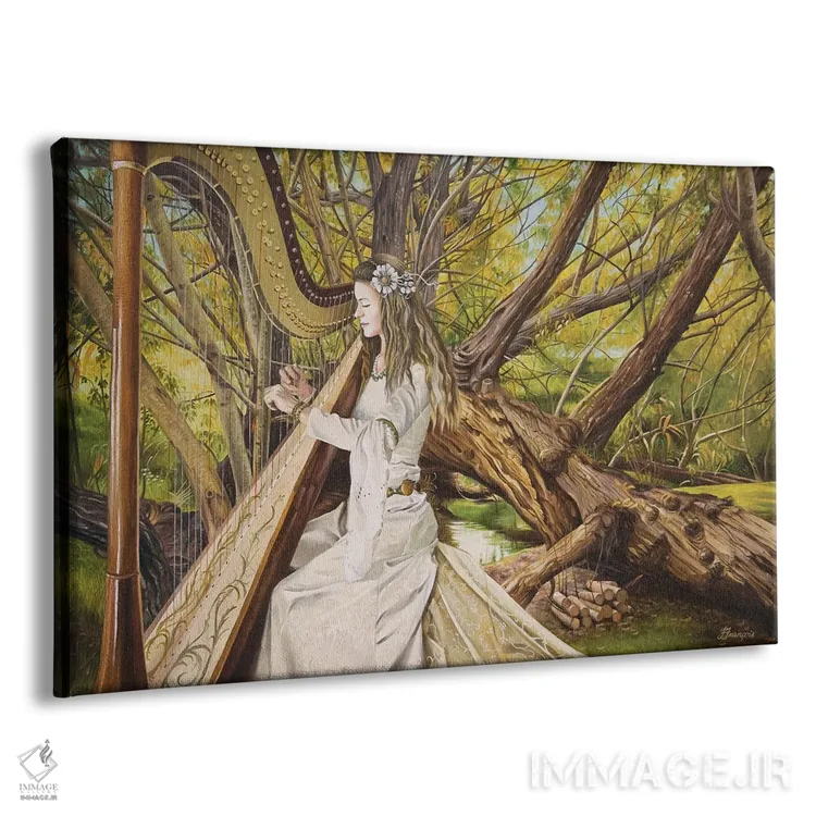 تابلو نوازنده چنگ دره اثر فیونا فرانسوا - نمای پرسپکتیو محصول