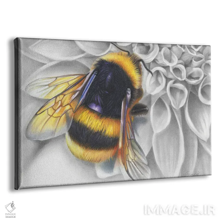 تابلو ماما بوز (لقب مادرانه زنبور) اثر فیونا فرانسوا - نمای پرسپکتیو محصول