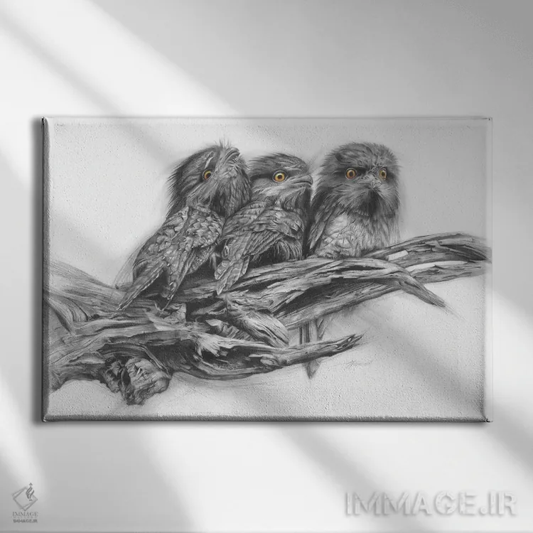 تابلو سهتایی قورباغهمنقار قهوهای (پرندگان) اثر فیونا فرانسوا - نمای روبهرو روی دیوار