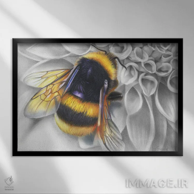 تابلو ماما بوز (لقب مادرانه زنبور) اثر فیونا فرانسوا - نمای قابدار مشکی