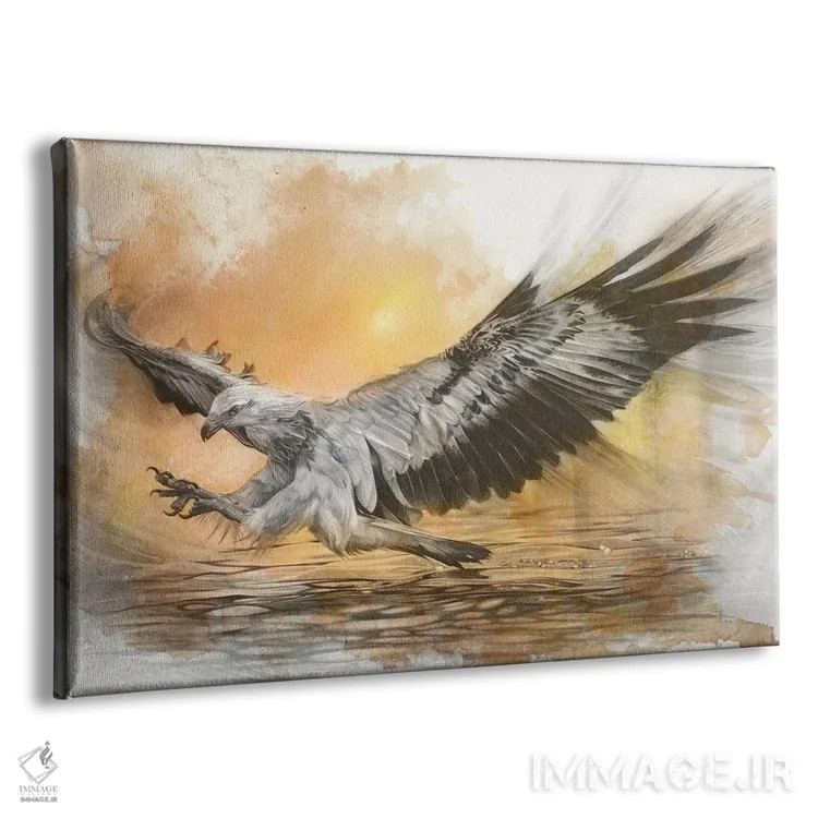 تابلو عقاب دریایی شکمسفید اثر فیونا فرانسوا - نمای پرسپکتیو محصول