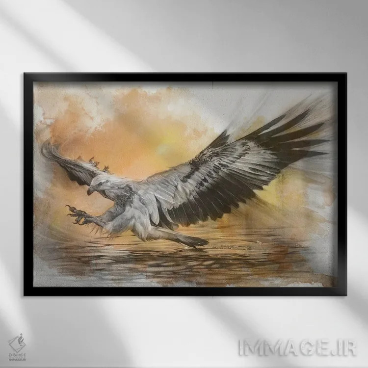 تابلو عقاب دریایی شکمسفید اثر فیونا فرانسوا - نمای قابدار مشکی