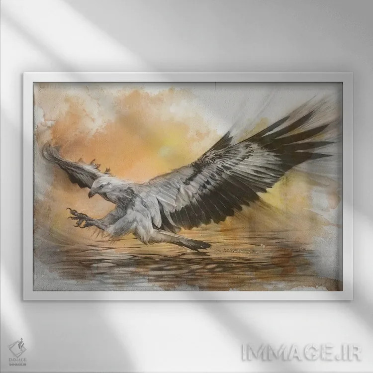 تابلو عقاب دریایی شکمسفید اثر فیونا فرانسوا - نمای قابدار سفید