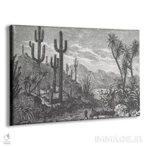 تابلو کاکتوسها در کوهستان اثر فلوران بُدار (هنرمند فرانسوی) - نمای پرسپکتیو محصول