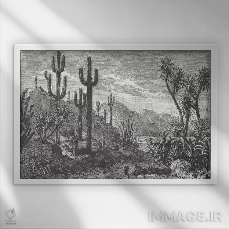 تابلو کاکتوسها در کوهستان اثر فلوران بُدار (هنرمند فرانسوی) - نمای قابدار سفید