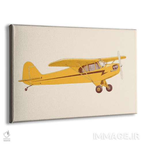 تابلو هواپیمای کوچک زرد اثر فلوران بُدار (هنرمند فرانسوی) - نمای پرسپکتیو محصول