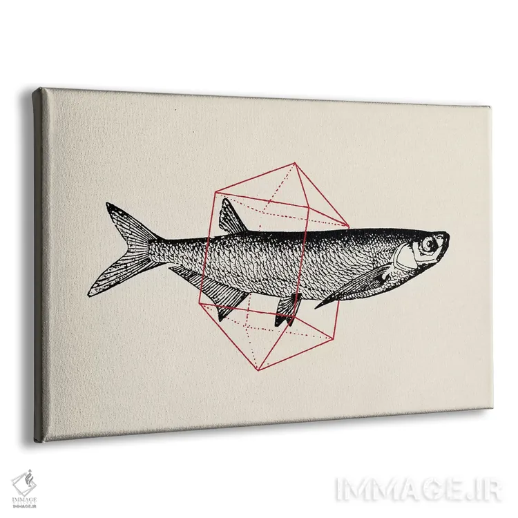 تابلو ماهی در اشکال هندسی ۲ اثر فلوران بُدار (هنرمند فرانسوی) - نمای پرسپکتیو محصول