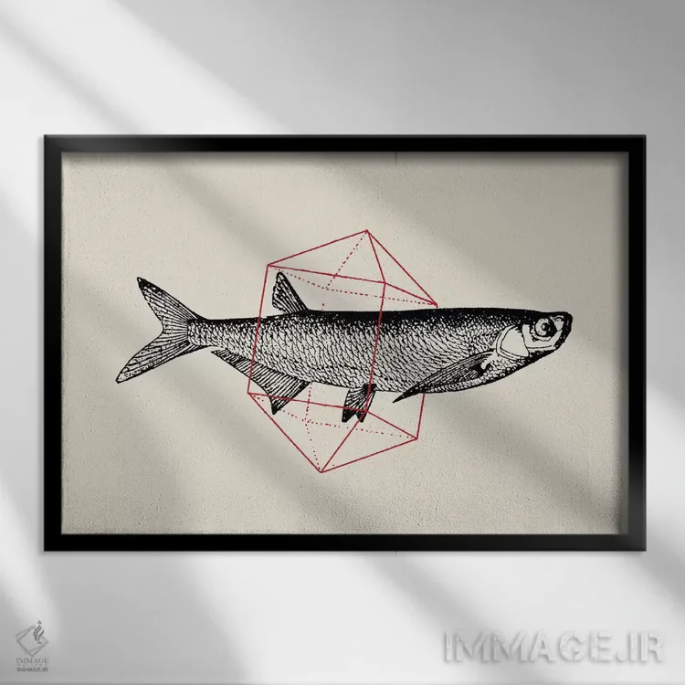 تابلو ماهی در اشکال هندسی ۲ اثر فلوران بُدار (هنرمند فرانسوی) - نمای قابدار مشکی