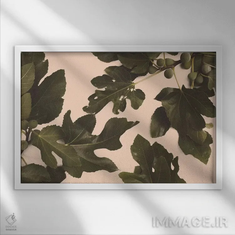 تابلو درخت انجیر اثر فلوران بُدار (هنرمند فرانسوی) - نمای قابدار سفید